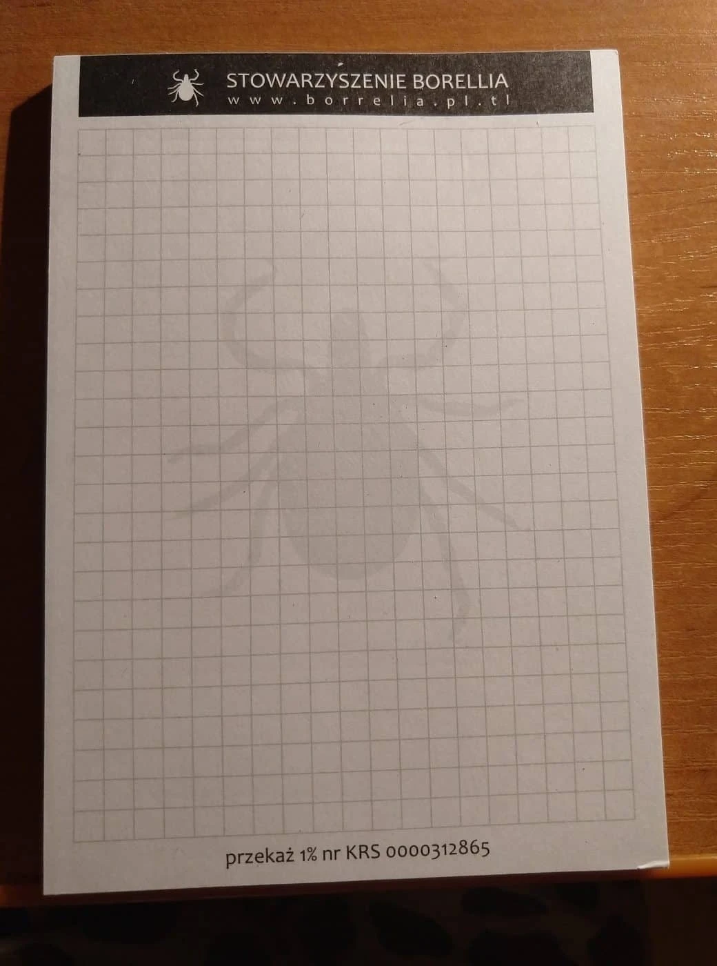 notesy w kratkę dla stowarzyszenia Borellia