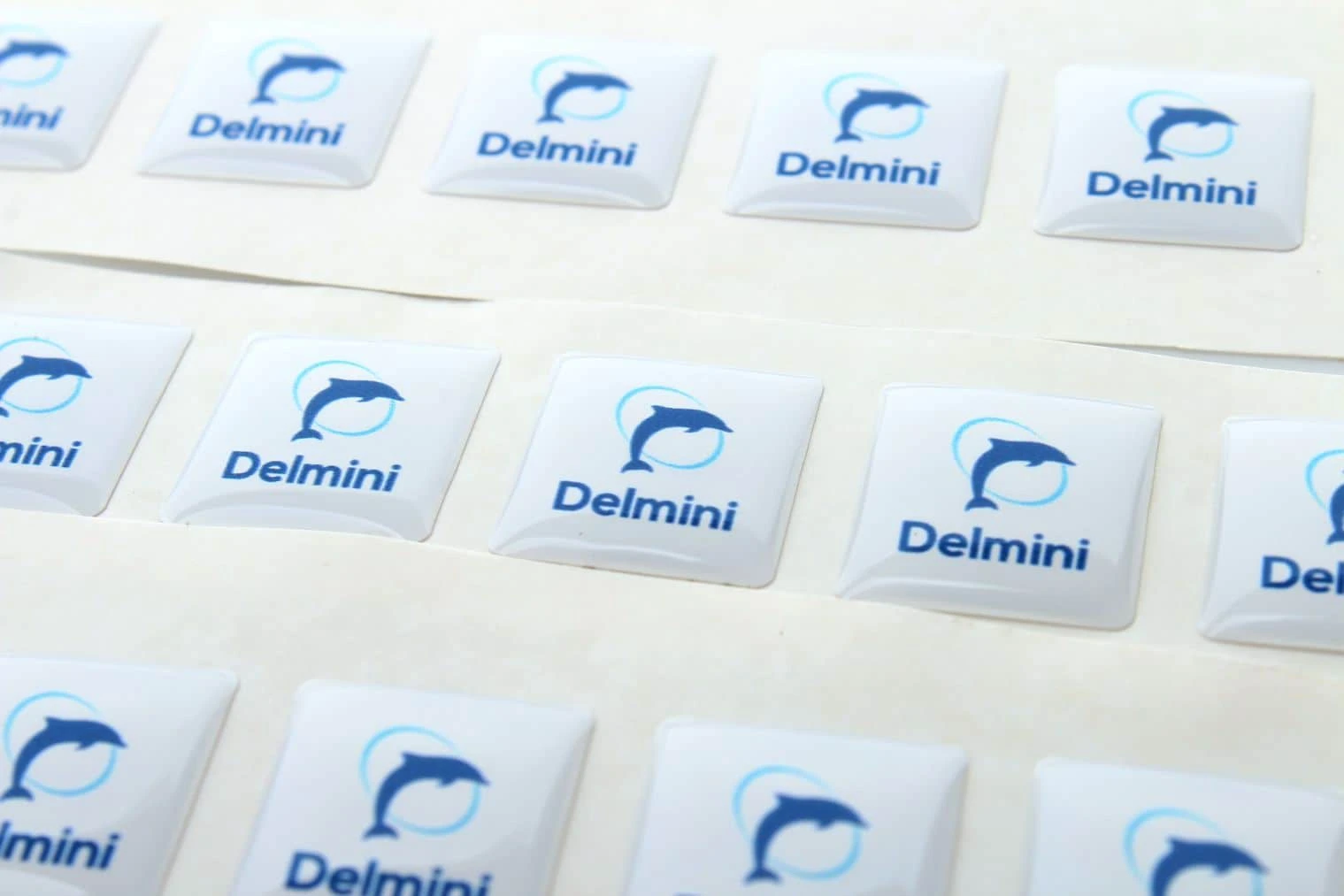 realizacja naklejki 3d dla Delmini