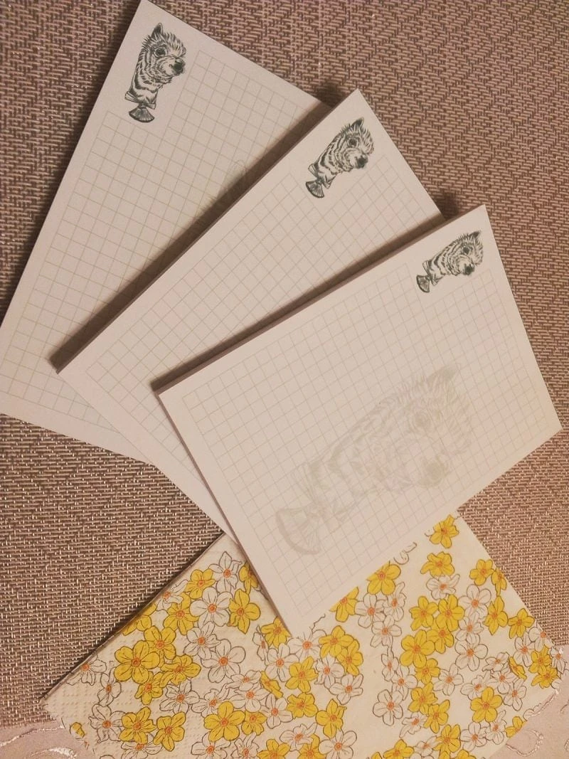 notesy z nadrukowaną lamą