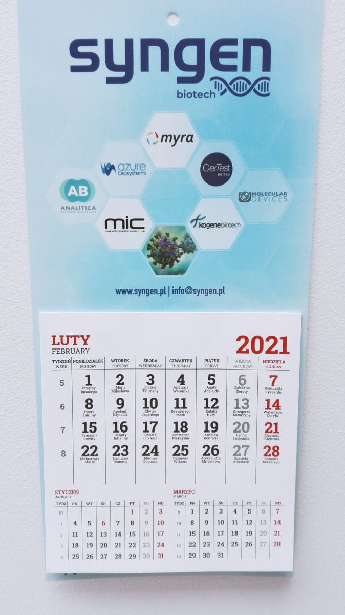 kalendarze dla firmy Syngen