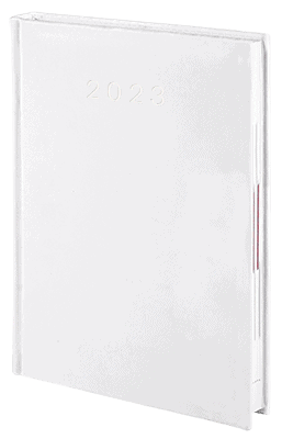 V-Standard-2023_BIAŁY