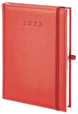 V-Plus_ukos-2023_CZEWONY2