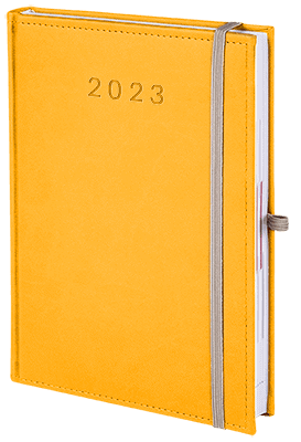V-Plus_ukos-2023_zolty2b