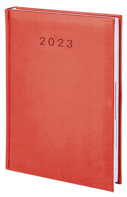 V-Standard-2023_CZERWONY2