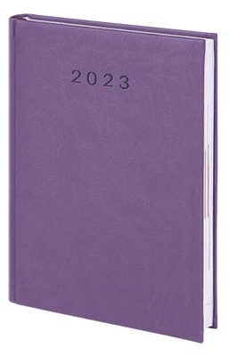 V-Standard-2023_FIOLETOWY2