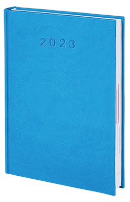 V-Standard-2023_NIEBIESKI2