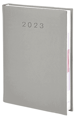 V-Standard-2023_SZARY-JASNY2