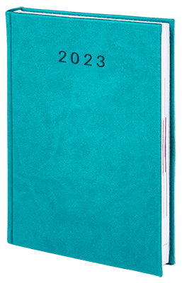 V-Standard-2023_TURKUSOWY2