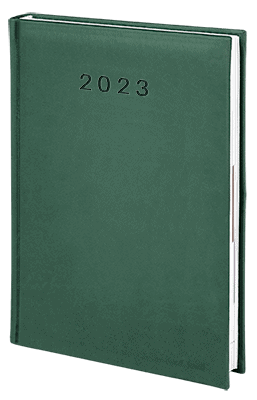 V-Standard-2023_ZIELONY2