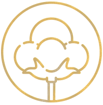 bawełna bawełna 100 %