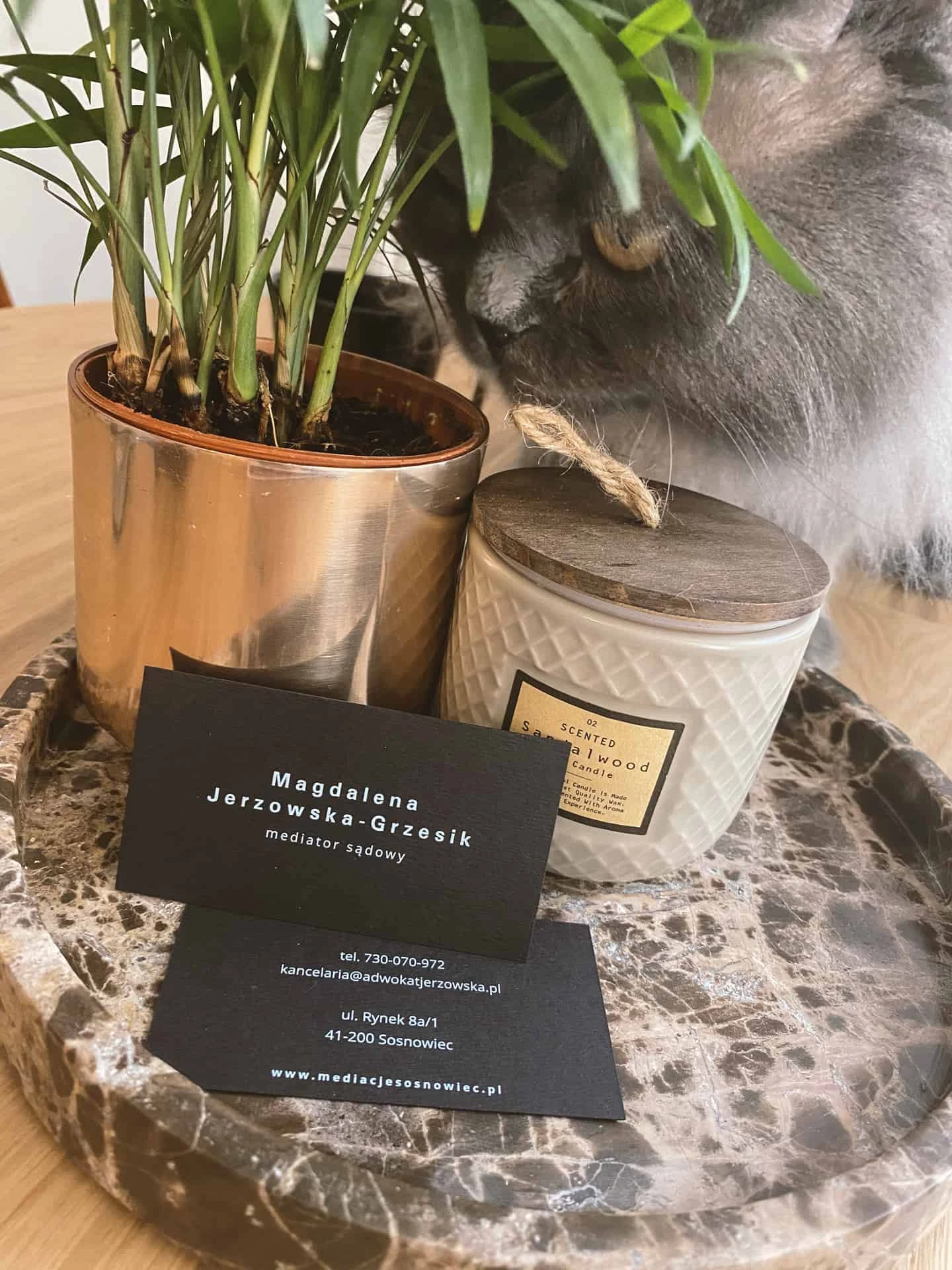 wizytówki barwione w masie dla mediacje Sosnowiec