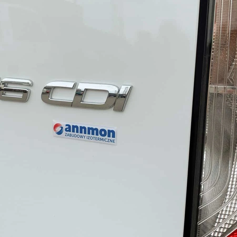 naklejki wypukłe na samochodzie z logo annmon